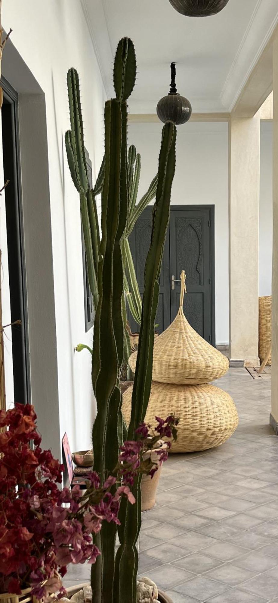 Le Patio Du Lac 拉拉塔可库斯特 外观 照片